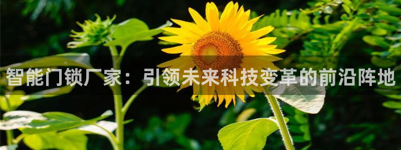 利记sbobet官网电脑版