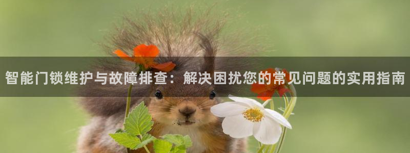 利记官网app下载：智能门锁维护与故障排查：解决困扰您的常见