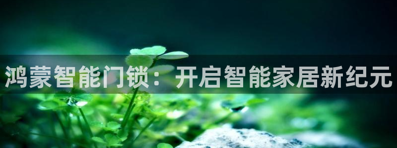万利记官网：鸿蒙智能门锁：开启智能家居新纪元