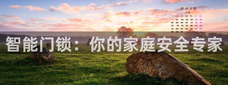 利记官网app下载网址日博官网网址：智能门锁：你的家庭安全专