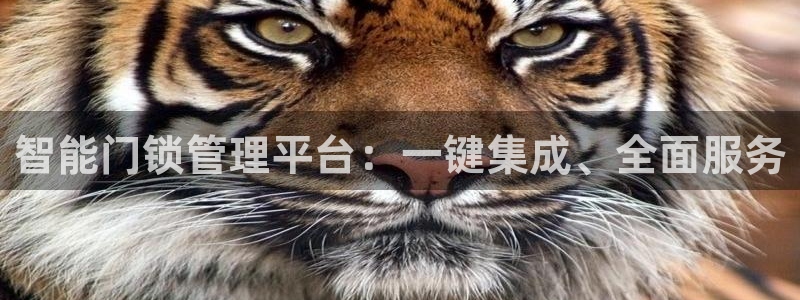 利记彩票导航网址官网hd71：智能门锁管理平台：一键集成、全