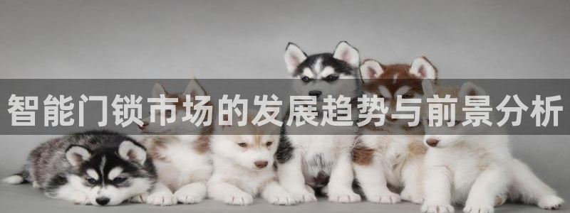利记官网香菜1：智能门锁市场的发展趋势与前景分析