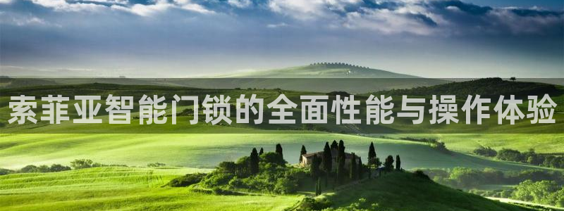 利记官网备用网址：索菲亚智能门锁的全面性能与操作体验