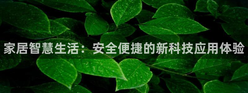 香港利记集团官网：家居智慧生活：安全便捷的新科技应用体验