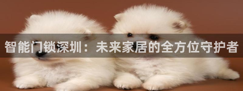利记官网登录：智能门锁深圳：未来家居的全方位守护者