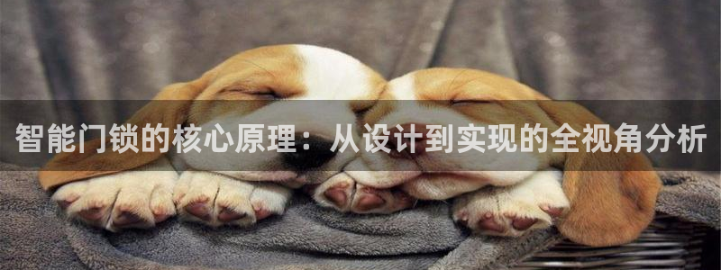 利记足球官网：智能门锁的核心原理：从设计到实现的全视角分析