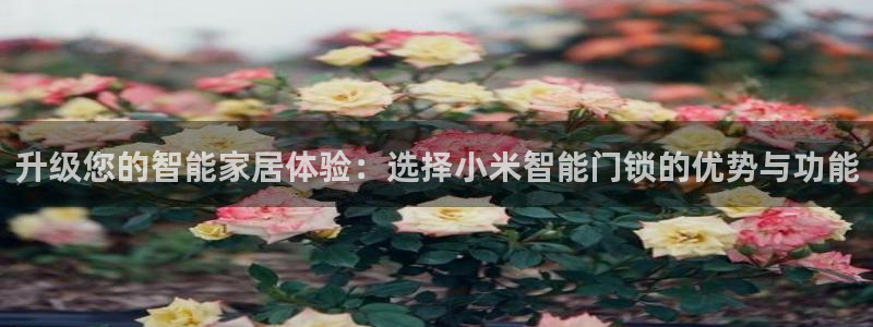 利记坊官网注册账号：升级您的智能家居体验：选择小米智能门锁的