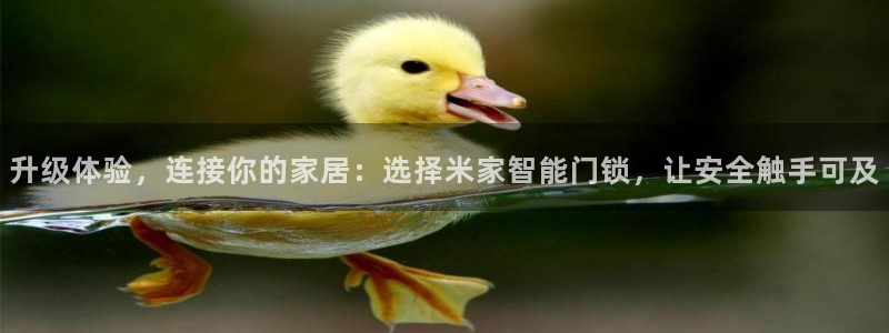 利记坊平台唯一官网：升级体验，连接你的家居：选择米家智能门锁