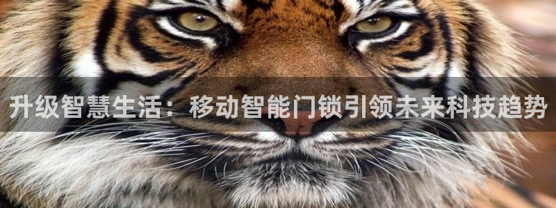 铂利记旗舰店官网：升级智慧生活：移动智能门锁引领未来科技趋势