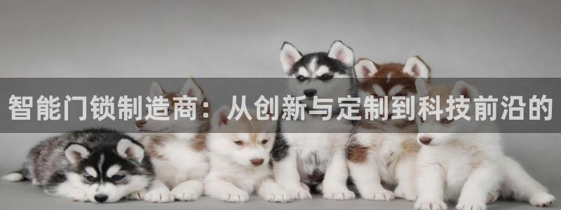 利记真的官网：智能门锁制造商：从创新与定制到科技前沿的