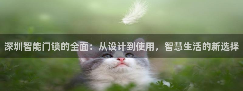 利记官网葡京投注网址：深圳智能门锁的全面：从设计到使用，智慧