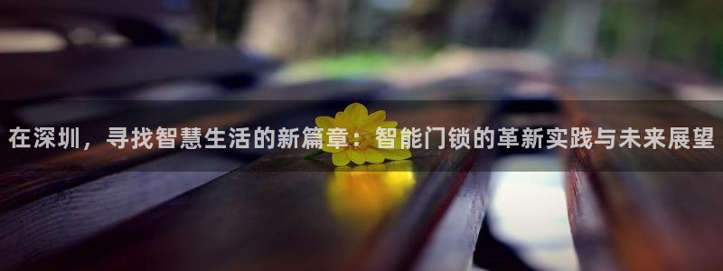 利记厨具官网售后：在深圳，寻找智慧生活的新篇章：智能门锁的革