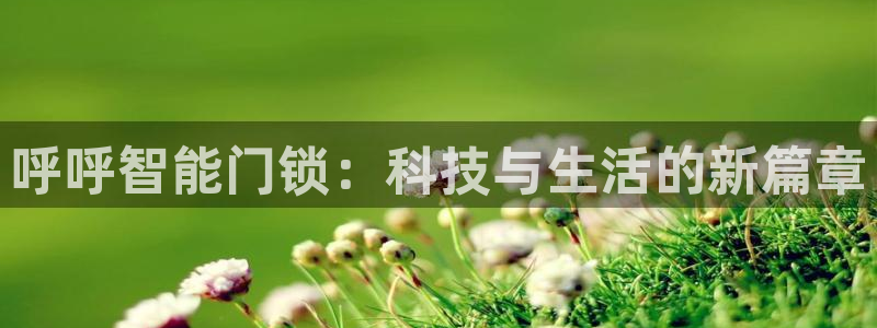 利记二手车行官网：呼呼智能门锁：科技与生活的新篇章