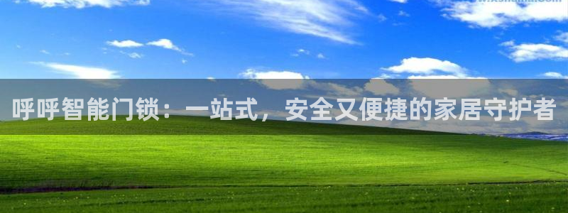 利记彩票官网：呼呼智能门锁：一站式，安全又便捷的家居守护者
