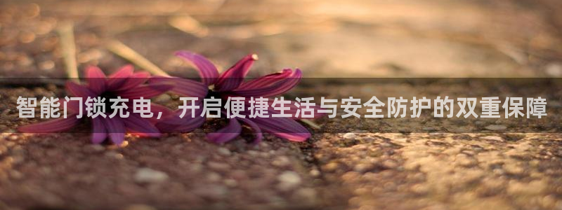 林利记官网：智能门锁充电，开启便捷生活与安全防护的双重保障