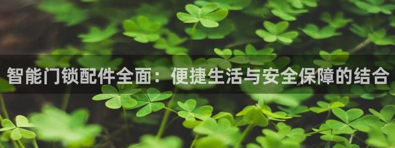 利记体育投注官网：智能门锁配件全面：便捷生活与安全保障的结合