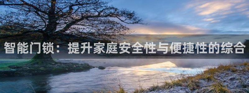 利记官网平台：智能门锁：提升家庭安全性与便捷性的综合