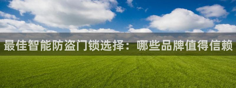利记坊官网注册账号申请：最佳智能防盗门锁选择：哪些品牌值得信