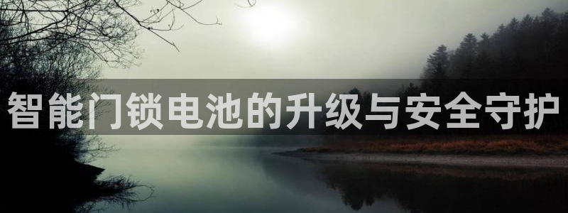 利记官网行业领导者：智能门锁电池的升级与安全守护