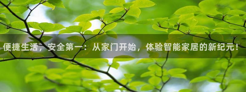 利记手机官网银河网：便捷生活，安全第一：从家门开始，体验智能