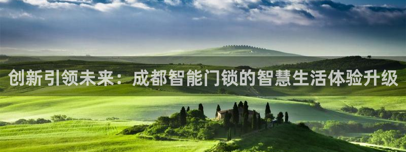 新利记官网：创新引领未来：成都智能门锁的智慧生活体验升级