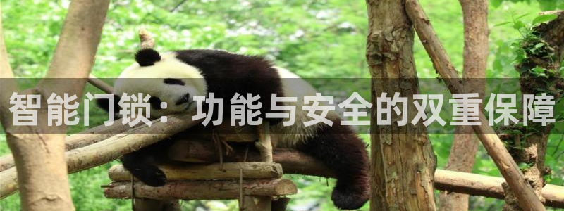 sbotop利记官网：智能门锁：功能与安全的双重保障