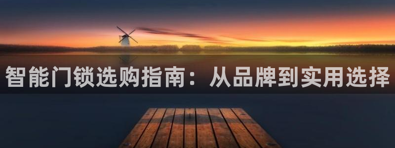 利记bet官网登录入口：智能门锁选购指南：从品牌到实用选择
