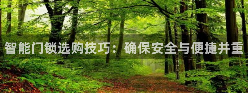 利记sbobet官网电脑版：智能门锁选购技巧：确保安全与便捷