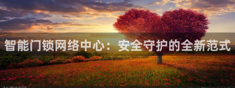 利记手机官网葡京备用：智能门锁网络中心：安全守护的全新范式