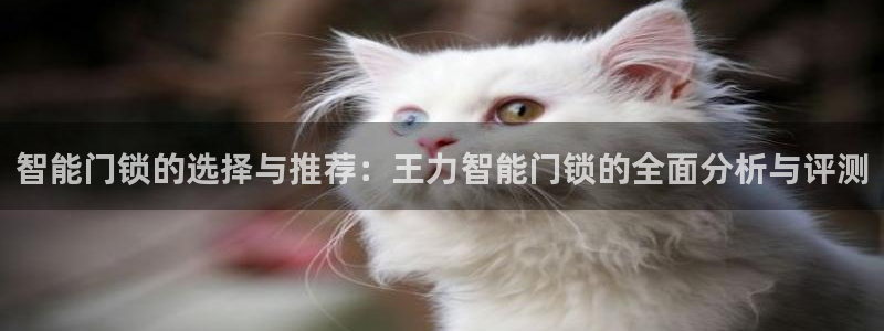 利记真正的官网是多少：智能门锁的选择与推荐：王力智能门锁的全
