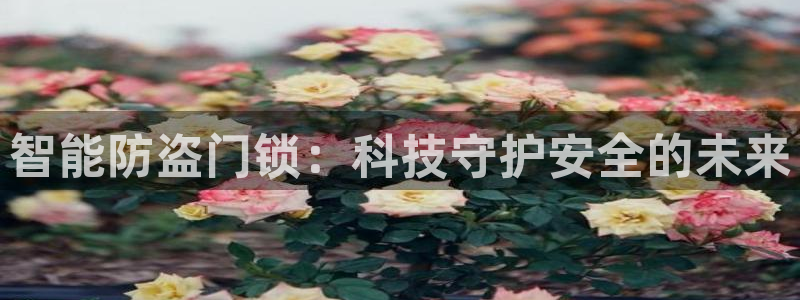 万利记官网电话：智能防盗门锁：科技守护安全的未来