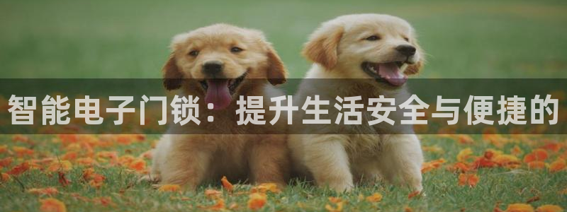 利记国际官网：智能电子门锁：提升生活安全与便捷的
