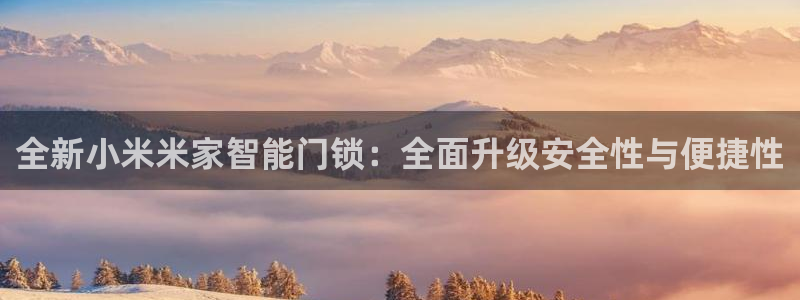 万利记官方旗舰店官网：全新小米米家智能门锁：全面升级安全性与