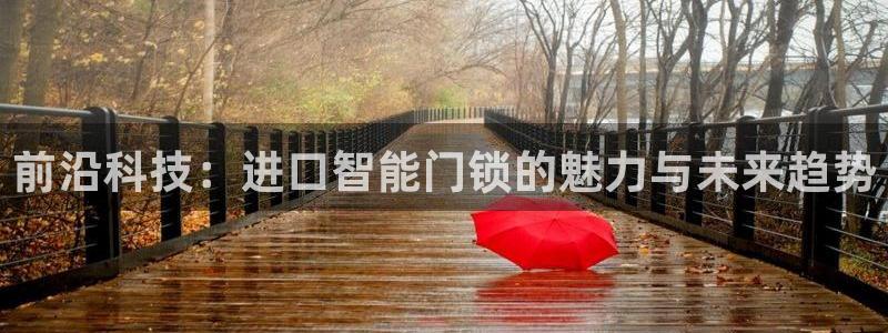 利记现场官网：前沿科技：进口智能门锁的魅力与未来趋势