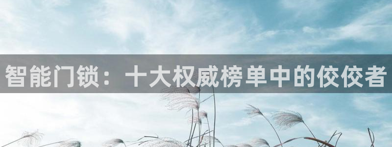 万利记官网：智能门锁：十大权威榜单中的佼佼者