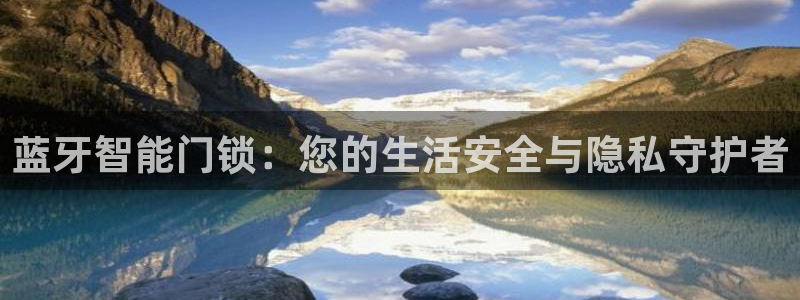 万利记官方旗舰店官网：蓝牙智能门锁：您的生活安全与隐私守护者