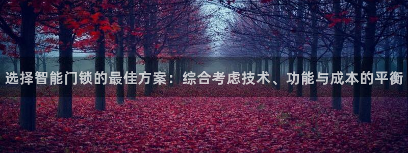 利记官网在线投注：选择智能门锁的最佳方案：综合考虑技术、功能