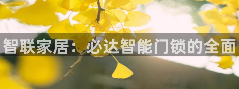 利记的官网：智联家居：必达智能门锁的全面