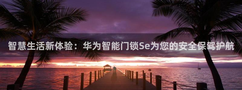 利记网址注册官网：智慧生活新体验：华为智能门锁Se为您的安全