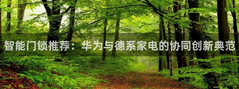 利记坊官网注册：智能门锁推荐：华为与德系家电的协同创新典范