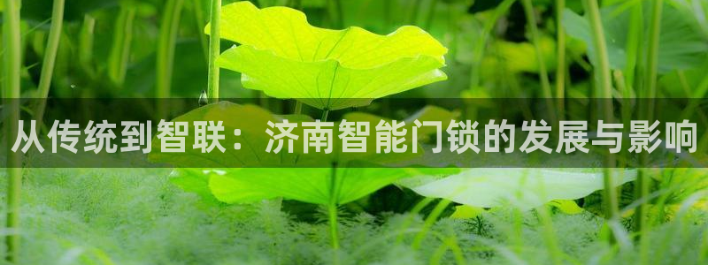 利记体育投注官网：从传统到智联：济南智能门锁的发展与影响