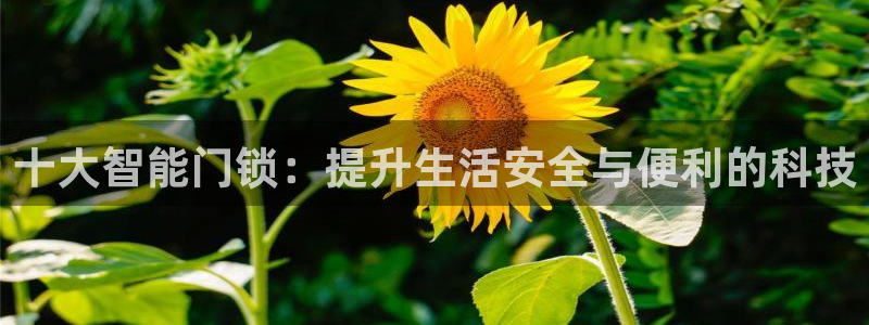 利记网官网网址：十大智能门锁：提升生活安全与便利的科技