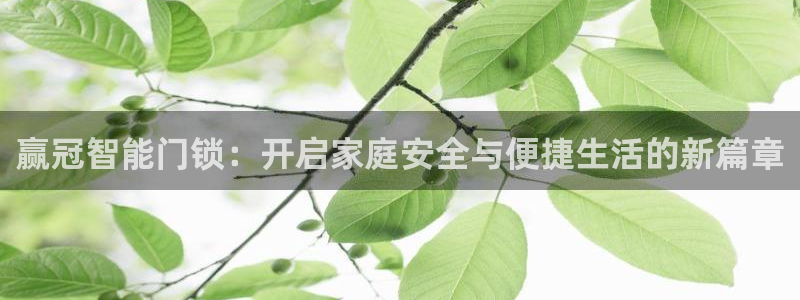 利记坊官网注册账号申请：赢冠智能门锁：开启家庭安全与便捷生活