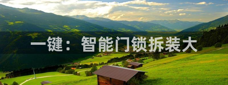 万利记唯一官网：一键：智能门锁拆装大