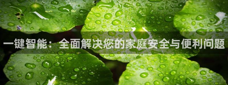利记官网注册网：一键智能：全面解决您的家庭安全与便利问题