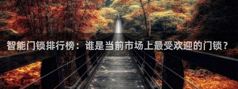 利记官网多少：智能门锁排行榜：谁是当前市场上最受欢迎的门锁？