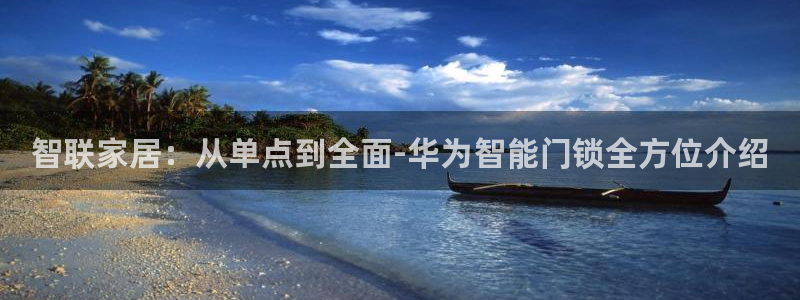 万利记官方旗舰店官网：智联家居：从单点到全面-华为智能门锁全