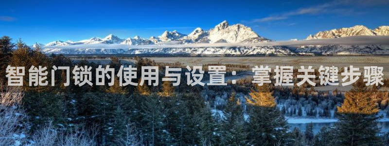 利记彩票网网址官网hd71：智能门锁的使用与设置：掌握关键步
