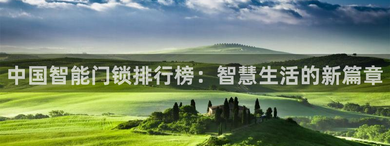 利记官网官方网站：中国智能门锁排行榜：智慧生活的新篇章