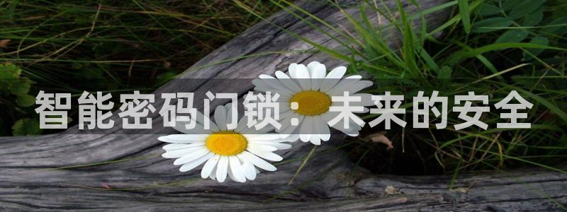 利记彩票官网wx678 com：智能密码门锁：未来的安全